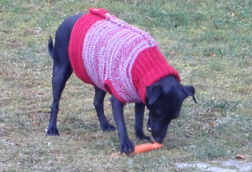 Richie frisst die Schneemann-Nase