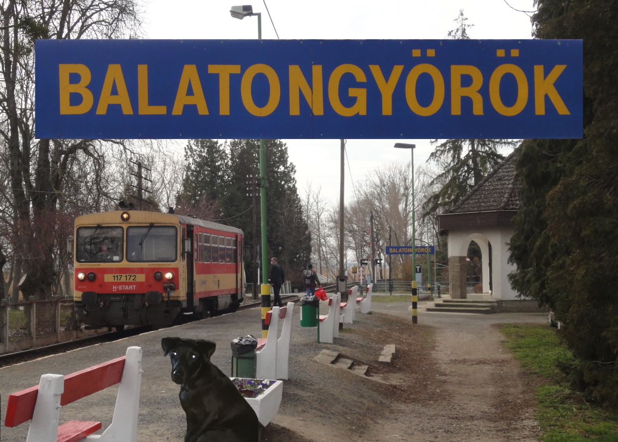 Read more about the article Balatongyörök – Richie macht einen Ausflug mit seinem Rudel