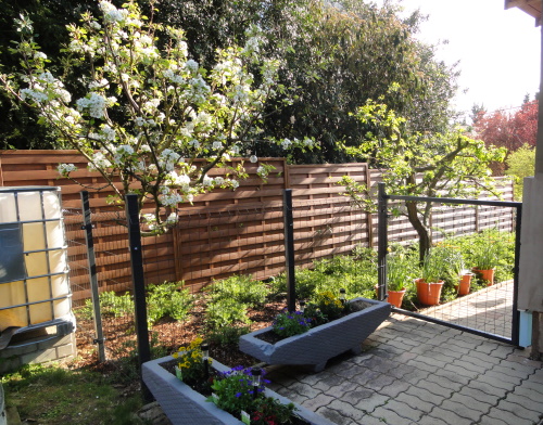 Gartenarbeiten: Zaunabsperrung und Bepflanzung zweier Betonkästen