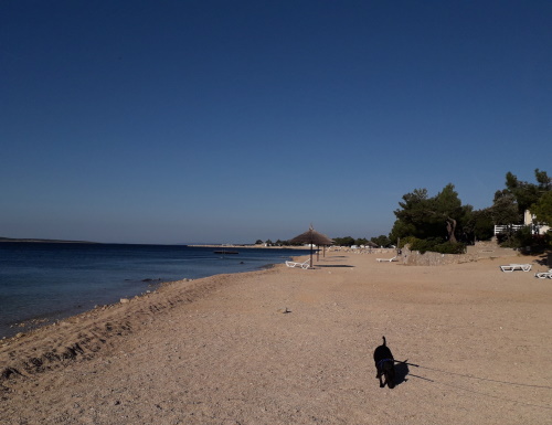 Ausgedehnte Strandspaziergänge machen Richie besonders Spaß