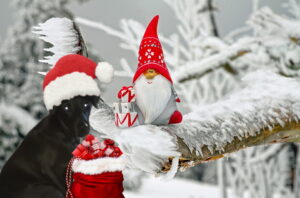Read more about the article Weihnachten 2022 – Ein tierisches Weihnachtserlebnis