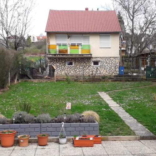 Freie Sicht, da unser Nachbar den Baum gefällt hat. Daher muss ein Sichtschutz her!